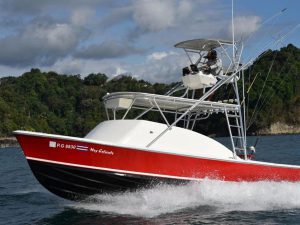 31' Custom 1/2 Day