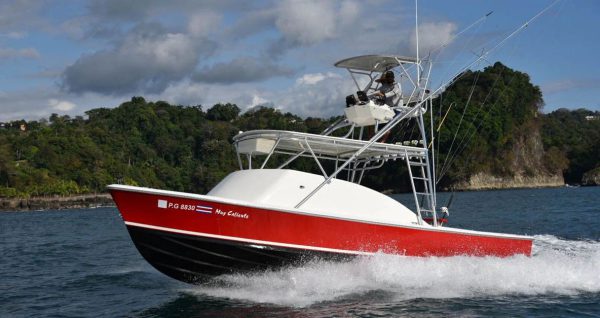 31' Custom Full Day