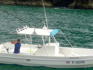 28' Apex Full Day
