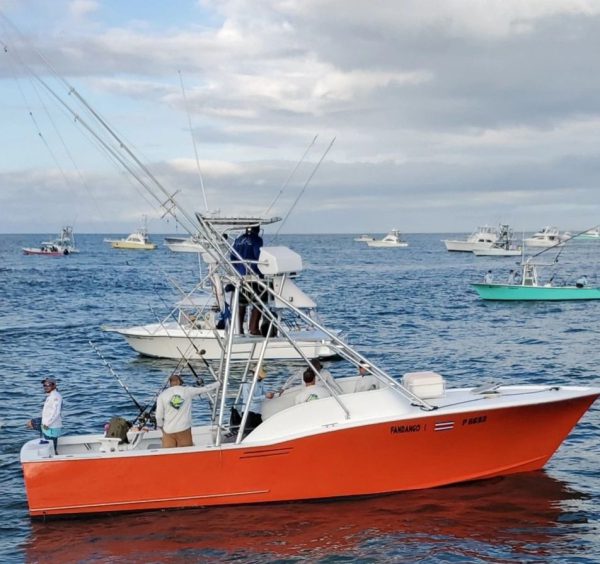 31' Gamefisherman Full Day
