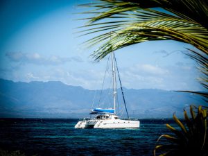 43' Catamaran All Day