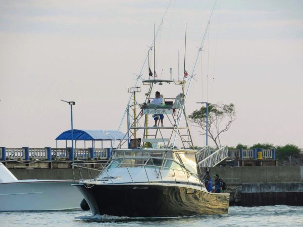 Bertram 38' Full Day - Imagen 3