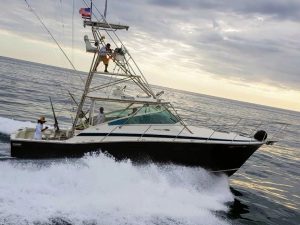 Bertram 38' Full Day