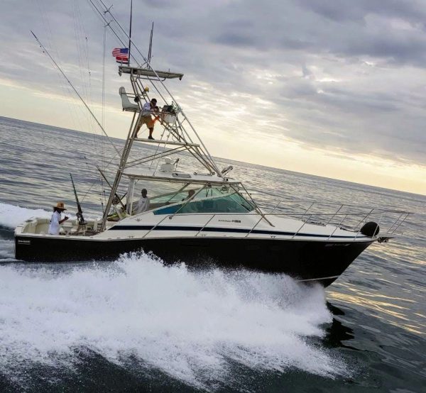 Bertram 38' Full Day