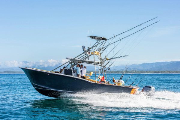 Sea Master 36' Full Day