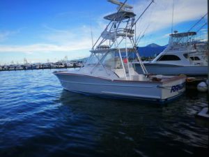 Maverick 36' Half Day
